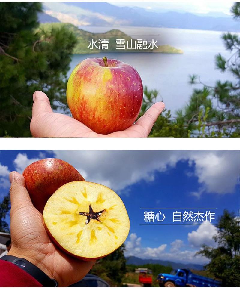 云南丽江小凉山丑苹果蜂蜜冰糖心苹果宁蒗苹果优选品质