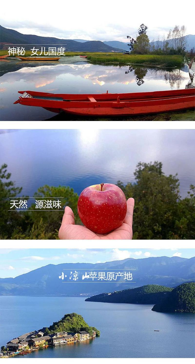 云南丽江小凉山丑苹果蜂蜜冰糖心苹果宁蒗苹果优选品质