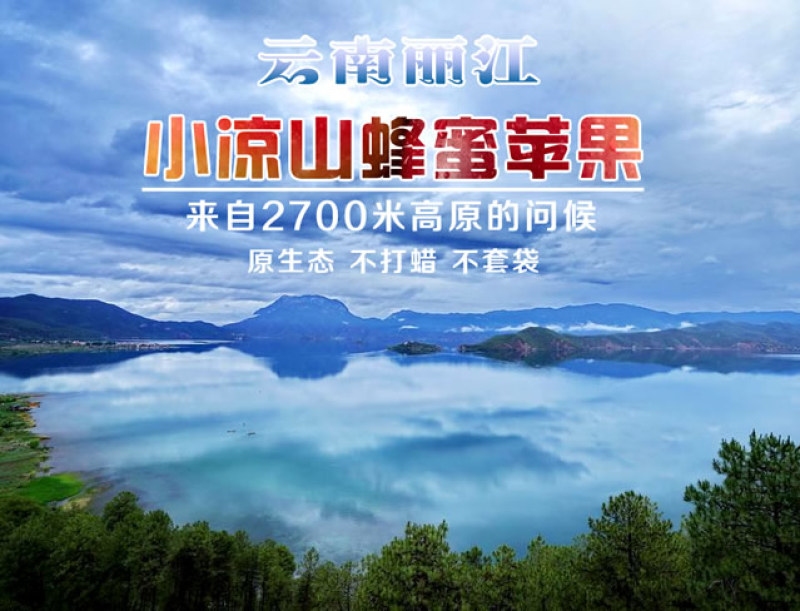 云南丽江小凉山丑苹果蜂蜜冰糖心苹果宁蒗苹果优选品质