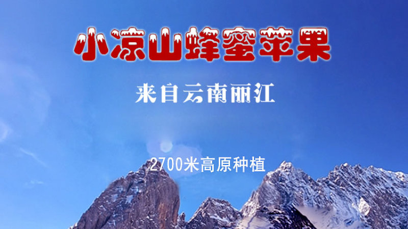 云南丽江小凉山丑苹果蜂蜜冰糖心苹果宁蒗苹果优选品质