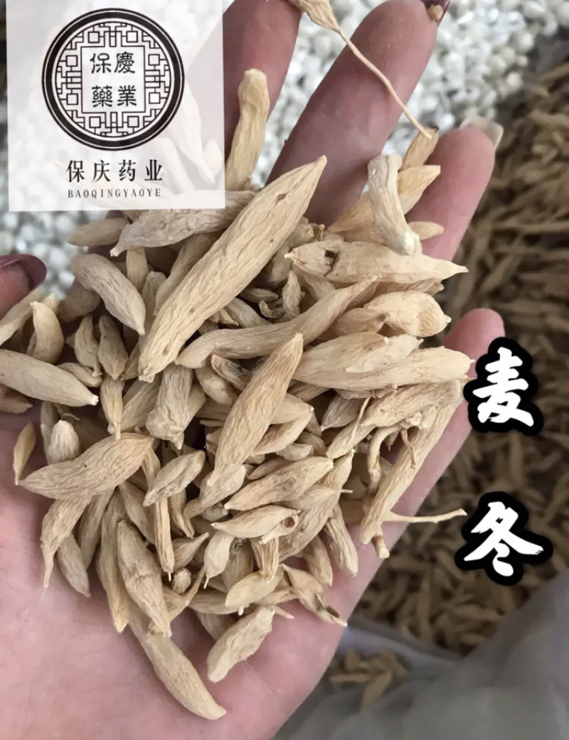 麦冬干麦冬麦门冬保庆药业中药材麦冬实物拍摄