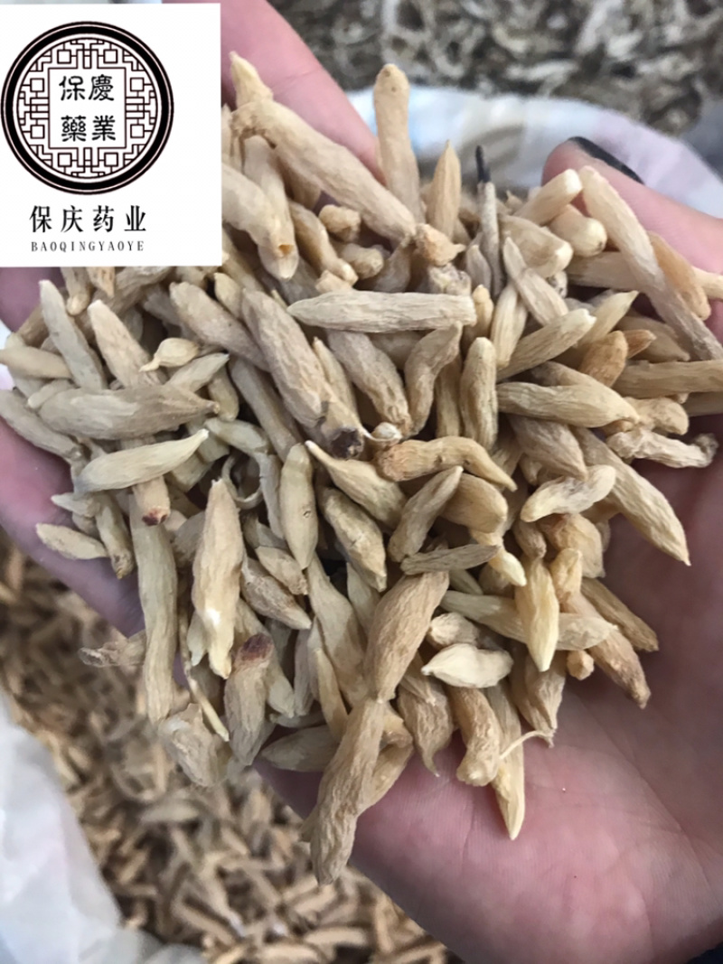 麦冬干麦冬麦门冬保庆药业中药材麦冬实物拍摄