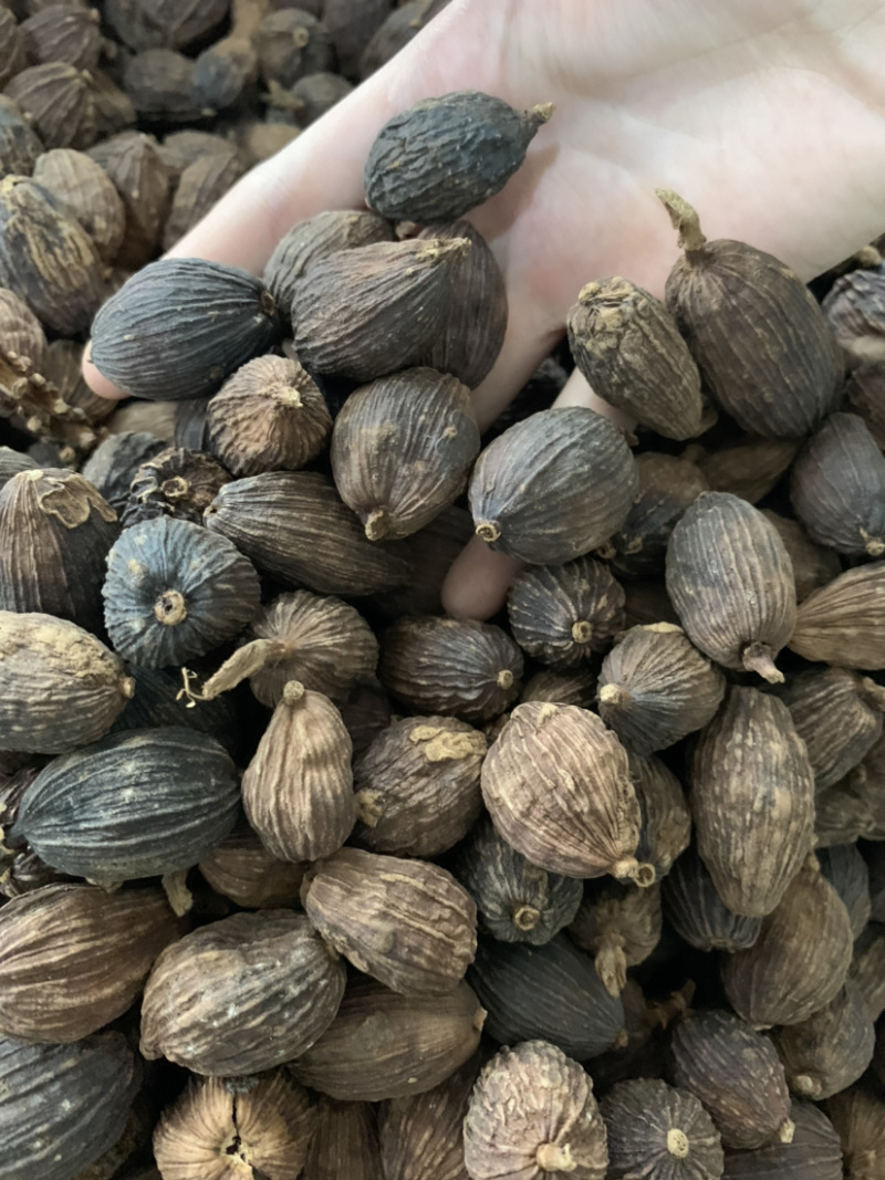 香料大全，调理卤味云南草果