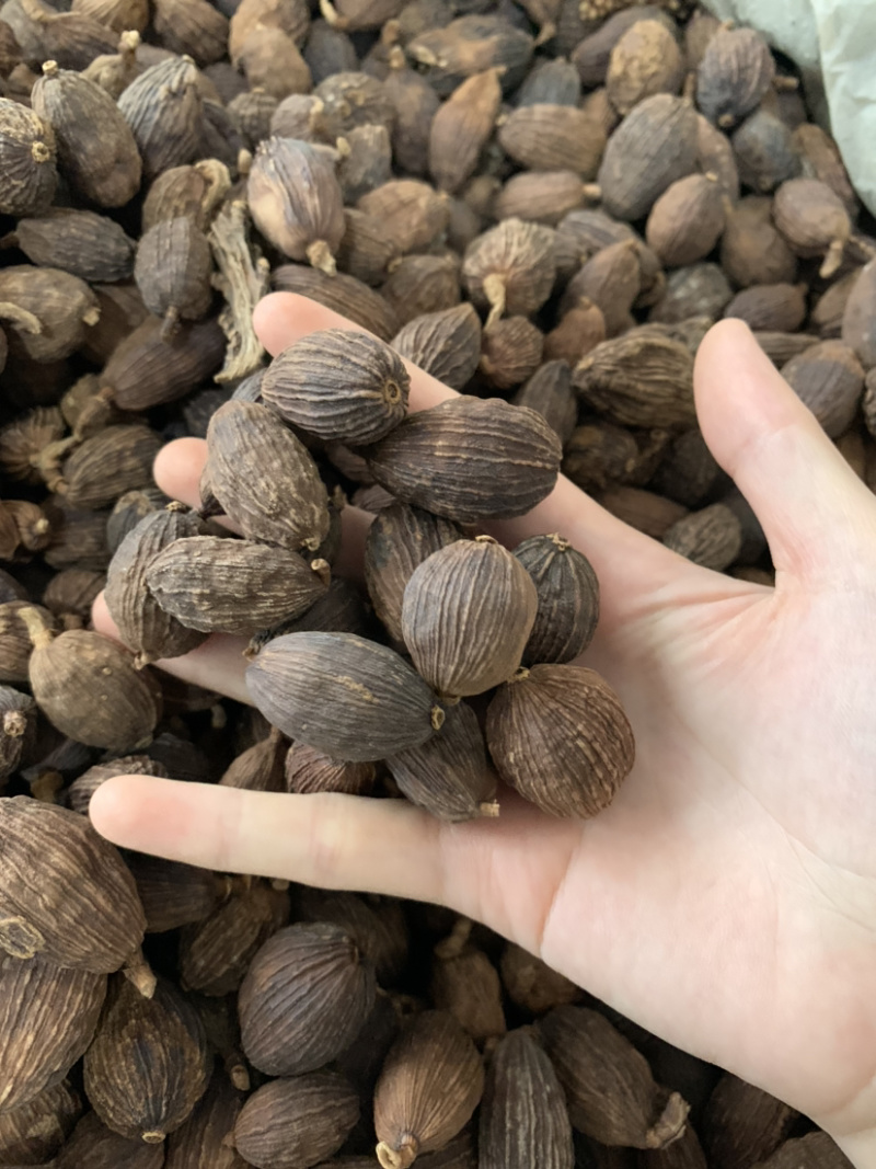 香料大全，调理卤味云南草果