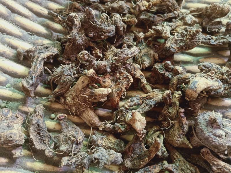 白及干货产地陕西质保证