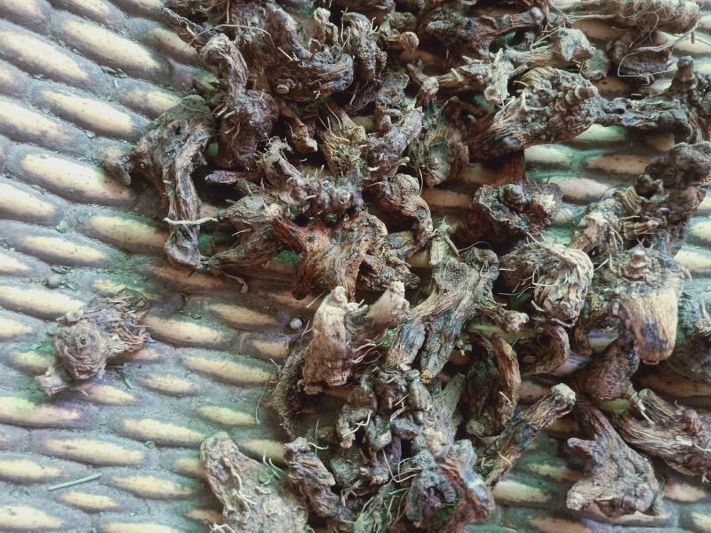 白及干货产地陕西质保证