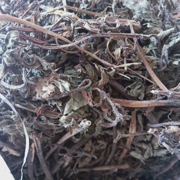 薄荷全干货产地陕西野生