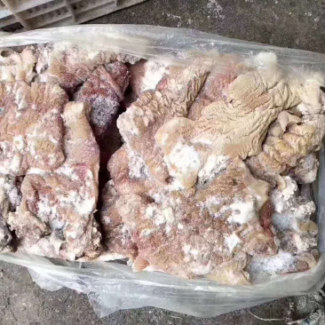 冷冻牛肠牛大肠新鲜冷冻牛肠生牛肠冷冻牛副产