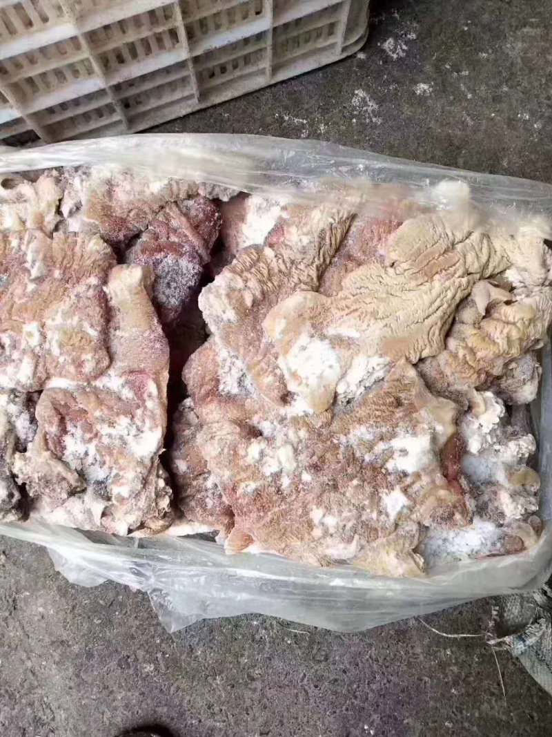 冷冻牛肠牛大肠新鲜冷冻牛肠生牛肠冷冻牛副产