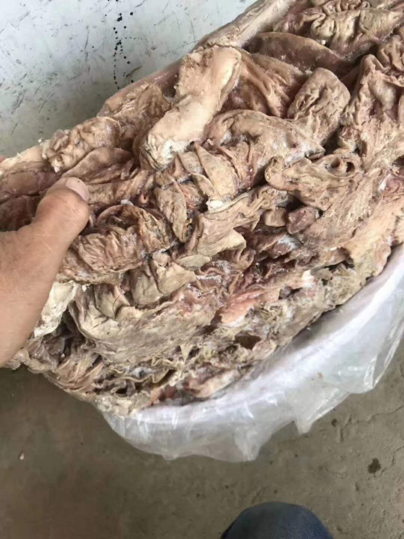 冷冻牛肠牛大肠新鲜冷冻牛肠生牛肠冷冻牛副产