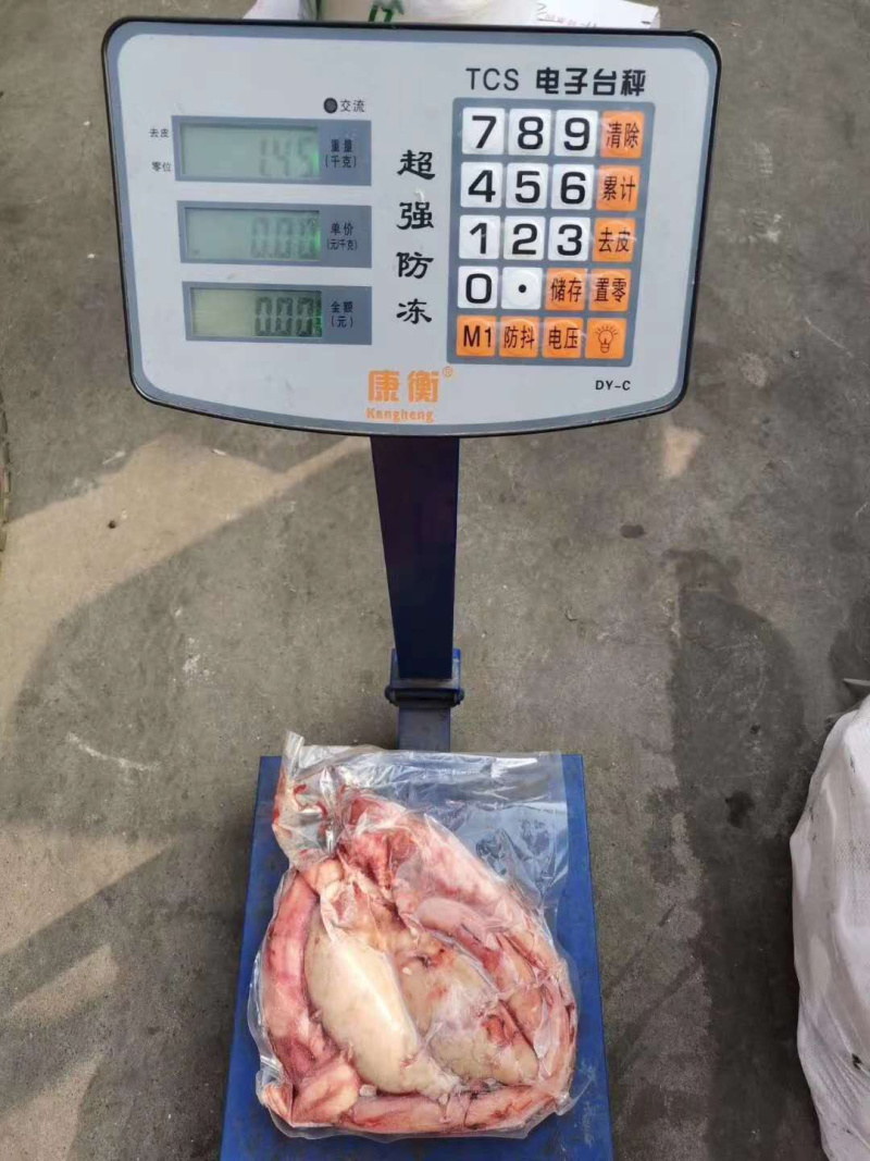 现货冷冻牛鞭宝冷冻牛副产一个重3斤左右