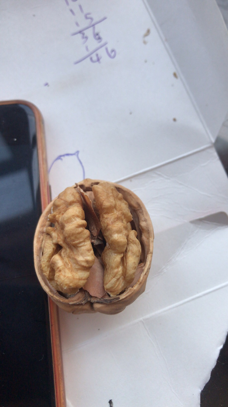 薄皮核桃一手货源质量有保证，大量供应