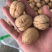 薄皮核桃一手货源质量有保证，大量供应