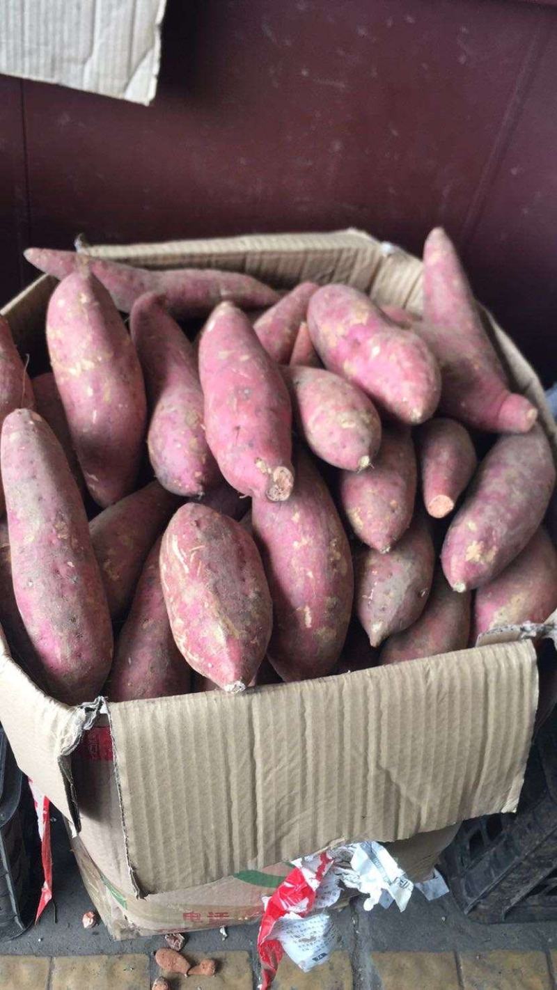 瓦岗红薯，产地直发支持各种规格品种欢迎咨询
