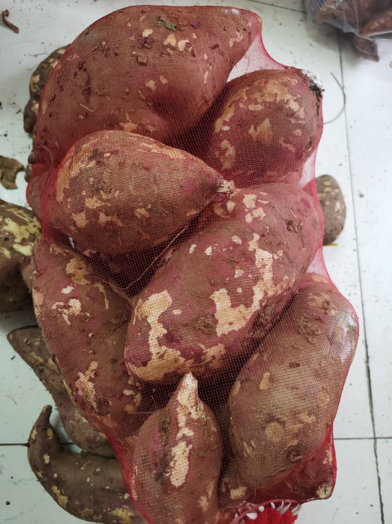 瓦岗红薯，产地直发支持各种规格品种欢迎咨询