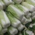 山东北京3号大白菜商超加工厂泡菜酸菜厂需要可以联系