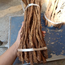 中药材批发千斤拨有大量货源是今年新货欢迎选购