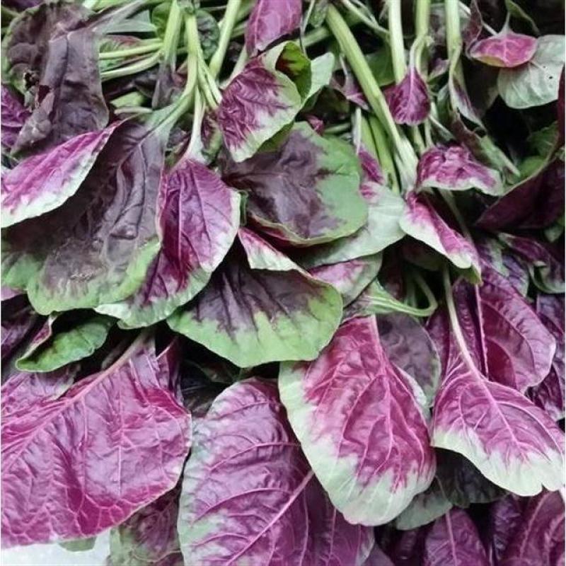 2021新货精品干菜农家苋菜干干苋菜