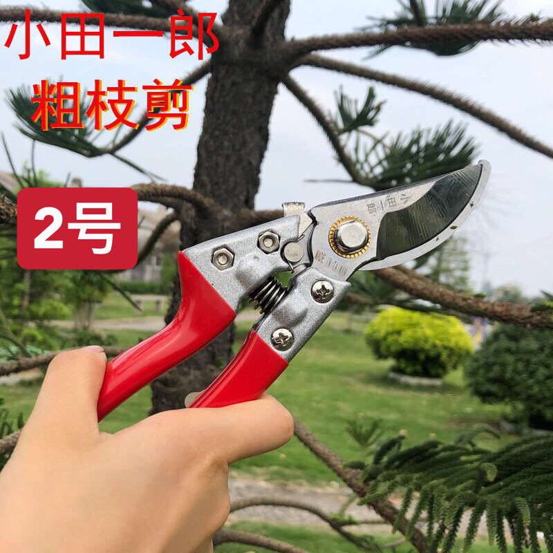 德国进口钢材园林工具花木剪刀树枝修剪果树粗技剪园艺修技剪