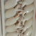 北海厂家一手墨鱼仔直批，规格齐全，价格实惠，有意来谈。