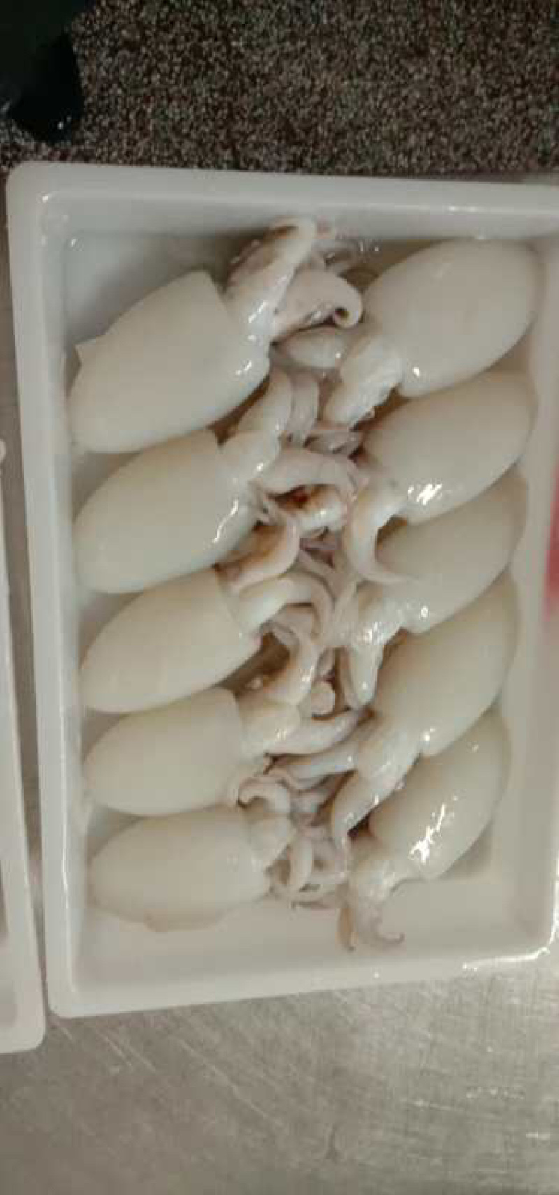 北海厂家一手墨鱼仔直批，规格齐全，价格实惠，有意来谈。