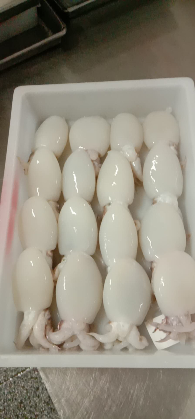 北海厂家一手墨鱼仔直批，规格齐全，价格实惠，有意来谈。