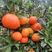 东方红柑橘，世纪红柑桔大量上市了，皮薄，色红，口感好！