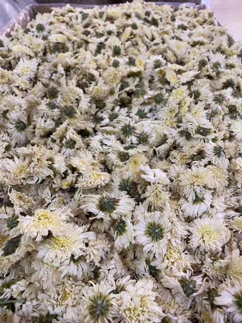 正宗黄山【贡菊】无硫纯净货保质保量…大量批发