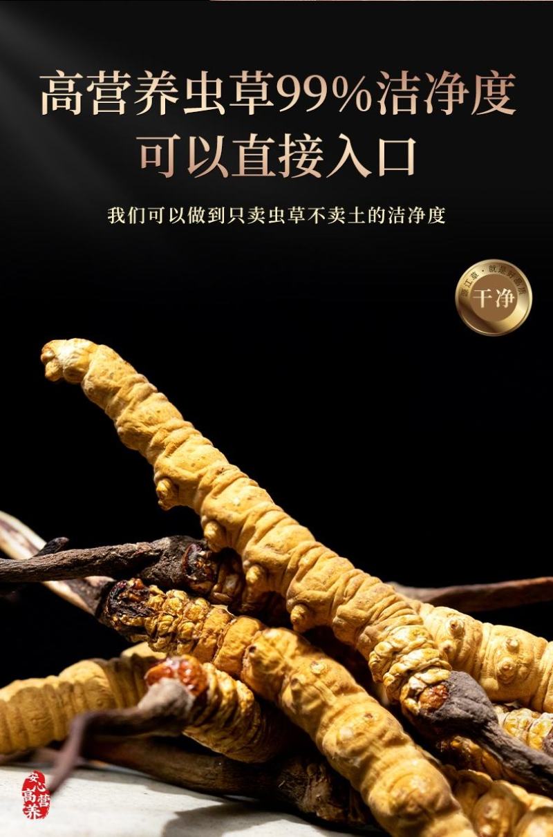 全国包邮西藏那曲虫草正品冬虫夏草高档精品礼盒
