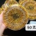 全国包邮西藏那曲虫草正品冬虫夏草高档精品礼盒
