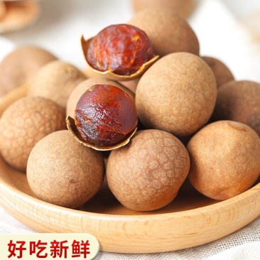【精品】福建的桂圆干独立包装不容易潮湿肉多甜度刚刚好