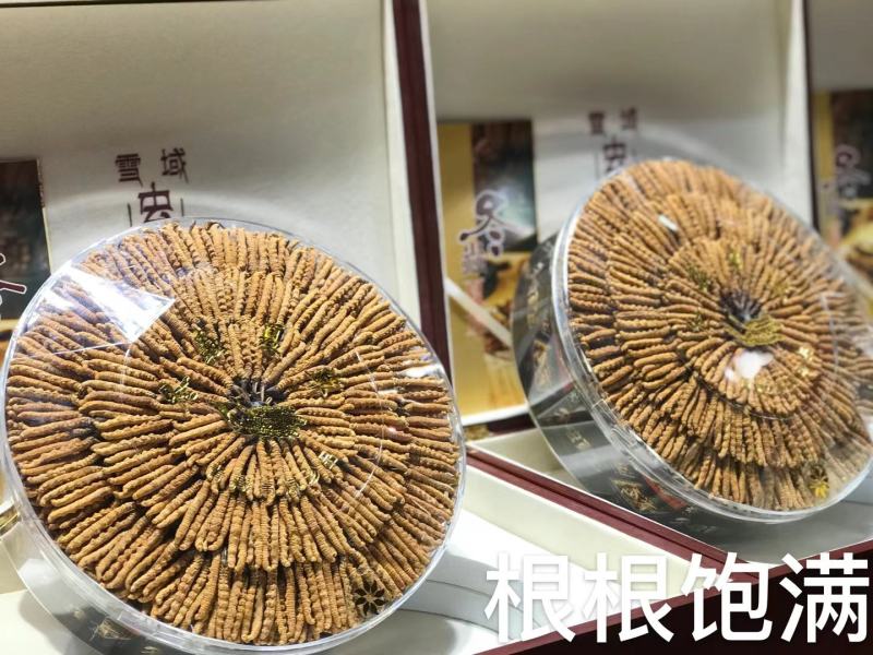 全国包邮西藏那曲虫草正品冬虫夏草高档精品礼盒
