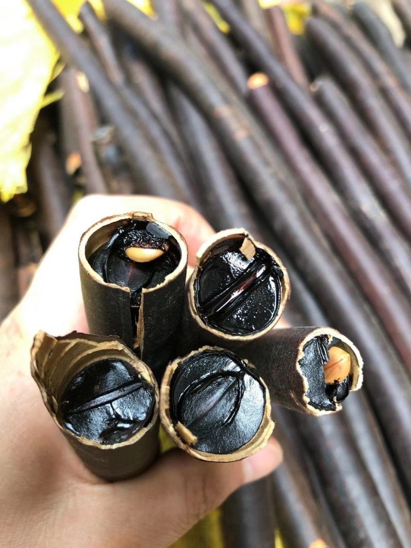 缅甸便秘果腊大肠大解减肥