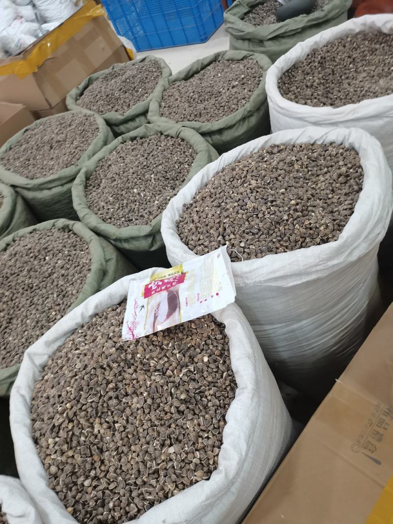 正宗印度进口【辣木籽】大颗粒500g/一袋