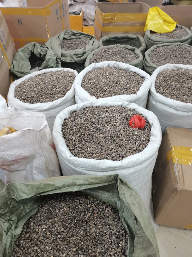 正宗印度进口【辣木籽】大颗粒500g/一袋