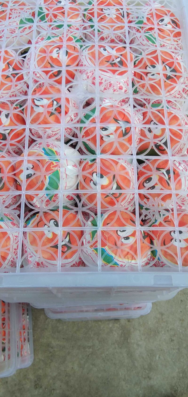 湖北十堰丹江口蜜桔已大量上市，按规格釆摘保证质量。