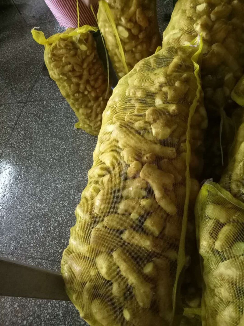 常年大量供应（姜母*姜巴）品质保证*货源充足