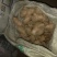 常年大量供应（姜母*姜巴）品质保证*货源充足