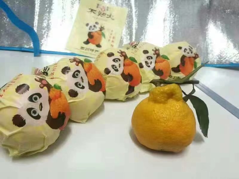 不知火丑桔耙耙柑丑八怪颜色全黄入口化渣口味纯甜果园看货