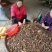 茶籽。一手货源。没有中间商赚差价。