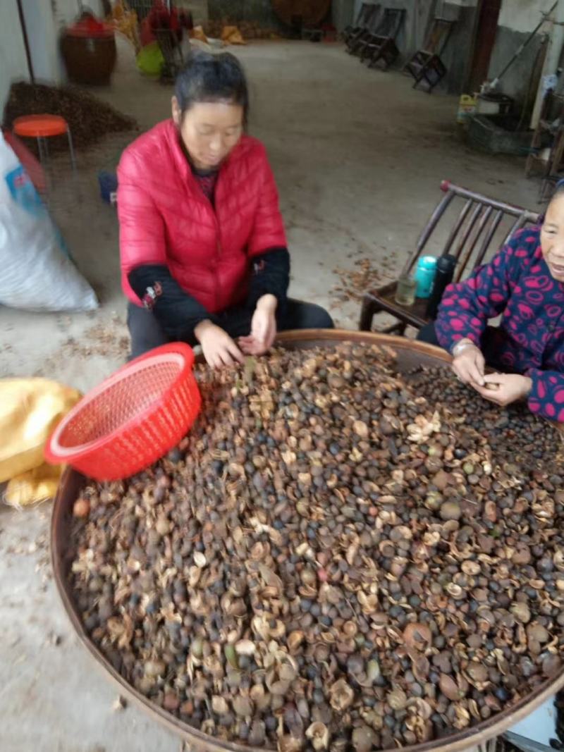 茶籽。一手货源。没有中间商赚差价。