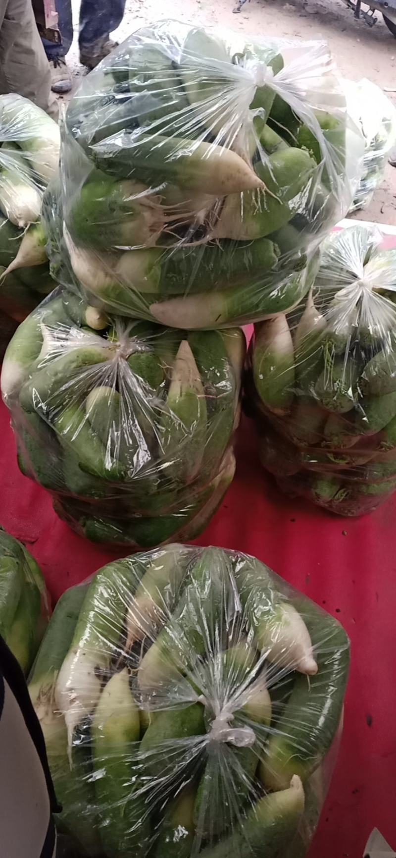 淮南河口村萝卜大量上市有咸菜厂要小萝卜的也可以