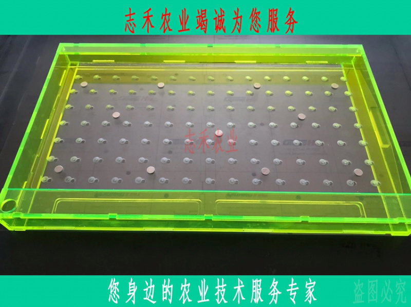 穴盘漂盘播种器支持各类型号订做顺丰包邮