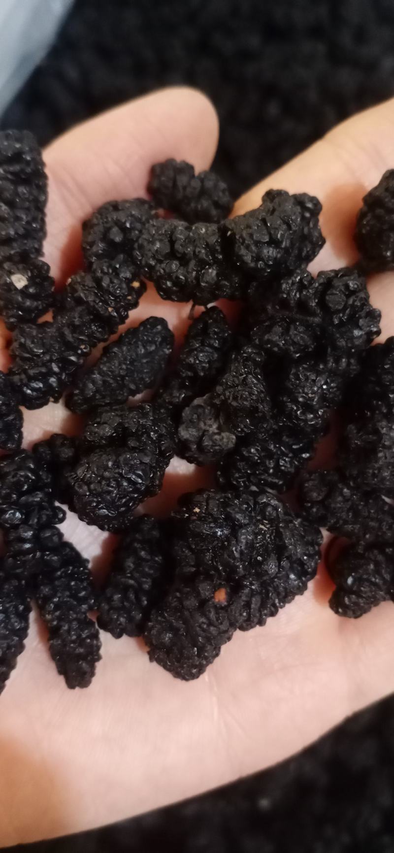 桑葚干，中药材保健批发