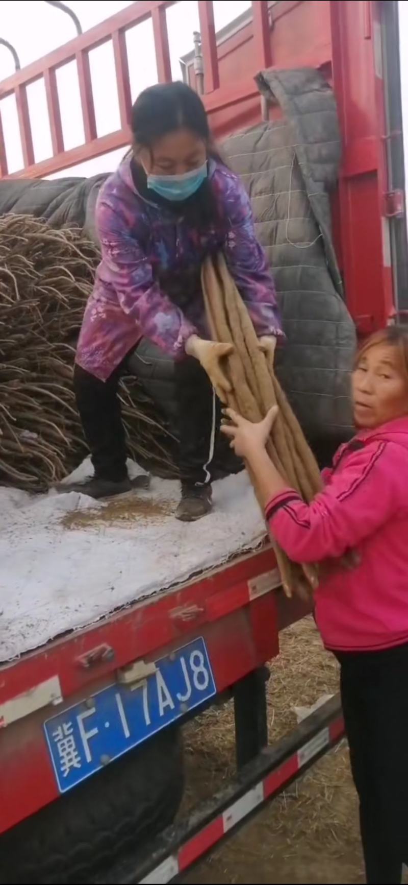 铁棍山药，大货，二三路，精品包装，诚信为本，产地直销