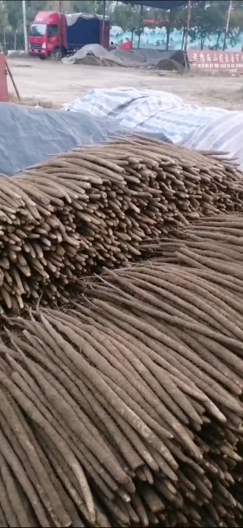 铁棍山药，大货，二三路，精品包装，诚信为本，产地直销