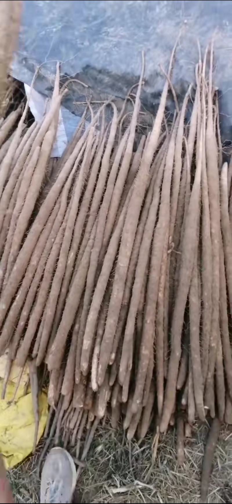 铁棍山药，大货，二三路，精品包装，诚信为本，产地直销