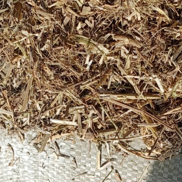 花生秧无土无膜无霉变