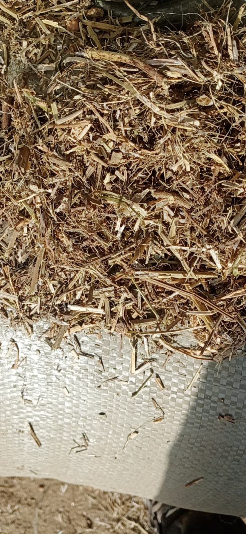 花生秧无土无膜无霉变