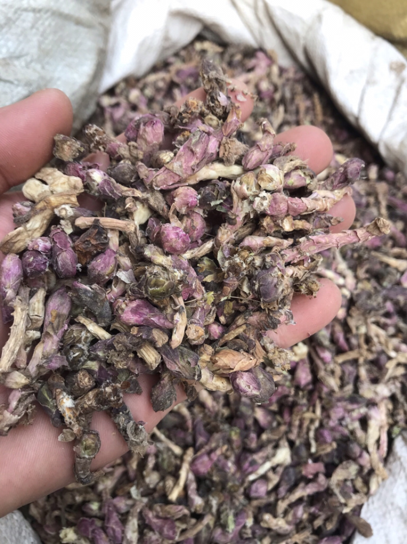 款冬花无硫无杂质优选款冬花产地直销
